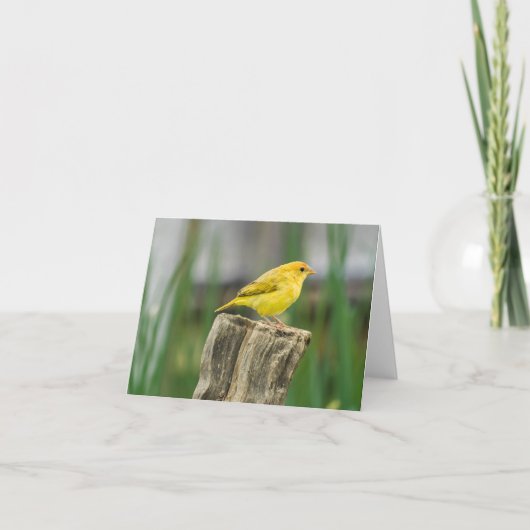 Kanarie Kaart (Voorkant)