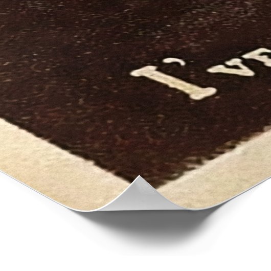  kanarie kat poster (Hoek)