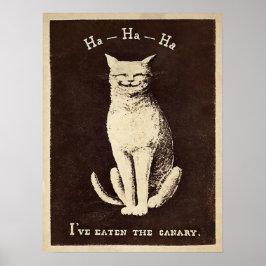 kanarie kat poster