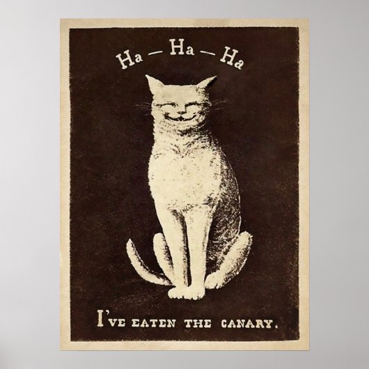  kanarie kat poster (Voorkant)