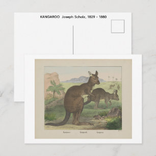 KANAROO Joseph Scholz, 1829 - 1880 Briefkaart