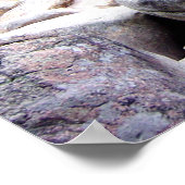 Kancamagus Highway in het najaar Poster (Hoek)