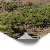 Kandelaarstoren in het Canyonlands National Park Poster (Hoek)