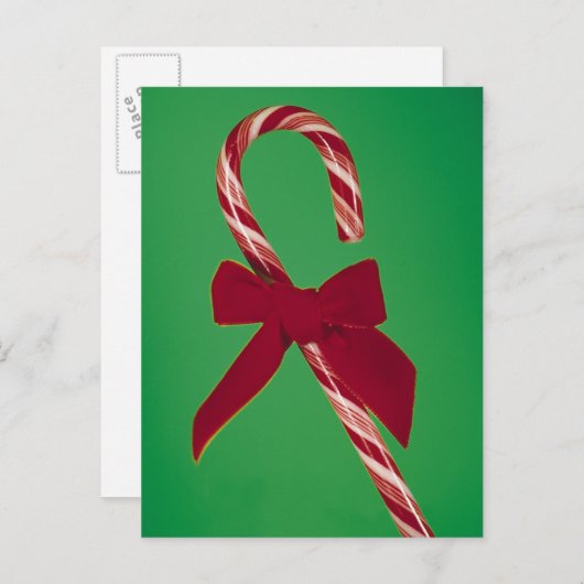 Kandijriet met lint briefkaart (Voorkant / Achterkant)