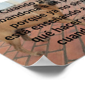 kando ustona verlaten perro poster (Hoek)