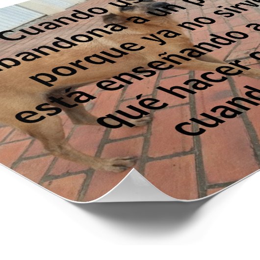 kando ustona verlaten perro poster (Hoek)