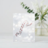 Kandriet met lint, kerstBriefkaart Briefkaart (Staand voorkant)