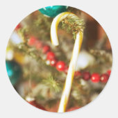 Kandriet op boomkaarten en stickers (Voorkant)