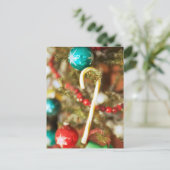 Kandriet op boomkaarten en stickers briefkaart (Staand voorkant)