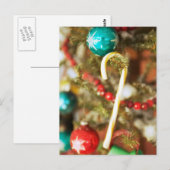 Kandriet op boomkaarten en stickers briefkaart (Voorkant / Achterkant)