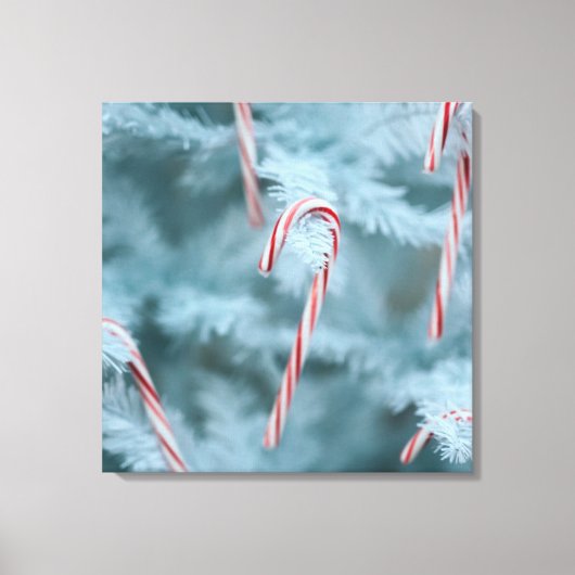Kandriet op de boom canvas afdruk (Voorkant)