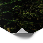 Kandy tempel, Sri Lanka Poster (Hoek)