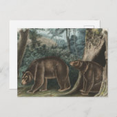  kaneel Beer Audubon Briefkaart (Voorkant / Achterkant)