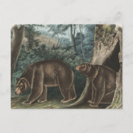 kaneel Beer Audubon Briefkaart