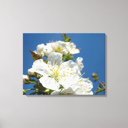 Kaneel Fijn Kunst Panelen Kersenbloesem Bomen Canvas Afdruk (Voorkant)