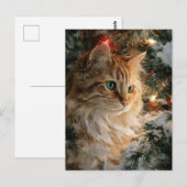 Kaneel Maine Coon Kerstmis Briefkaart (Voorkant / Achterkant)