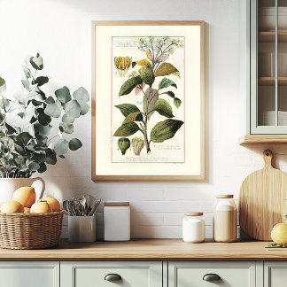 KANEEL - VINTAGE BOTANISCHE ILLUSTRATIE POSTER