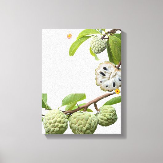 Kaneelappel - canvas afdruk (Voorkant)