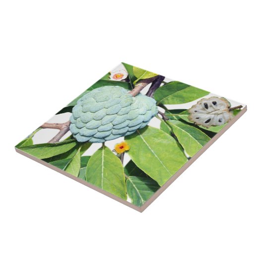 Kaneelappel - Glas naar shot Tegeltje (Zijkant)