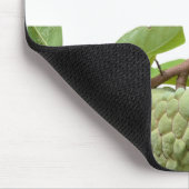 Kaneelappel - muismat (Hoek)