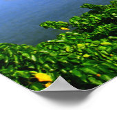 Kaneohe Bay Print (Hoek)