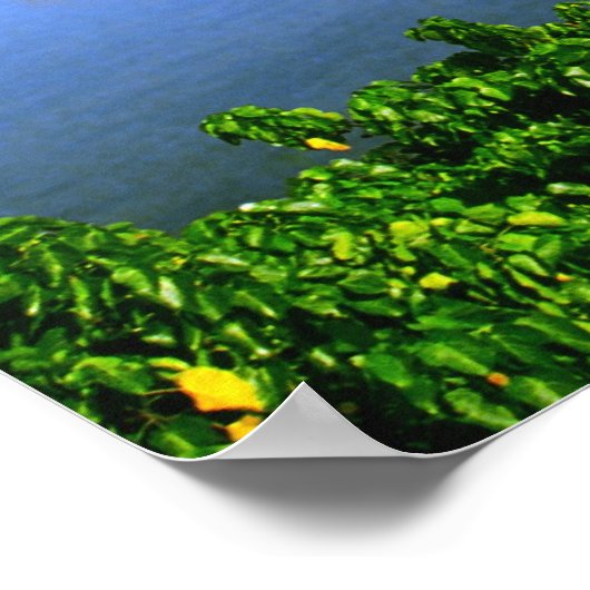 Kaneohe Bay Print (Hoek)