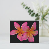 Kaneohe Sunburst Plumeria Briefkaart (Staand voorkant)