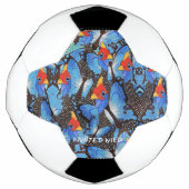 Kanga Blue Voetbal (Voorkant)