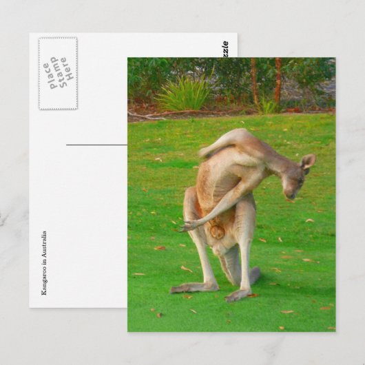 kanga briefkaart (Voorkant / Achterkant)
