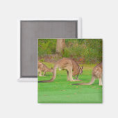 kanga magneet (Voorkant / Achterkant)