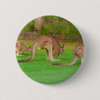 kanga