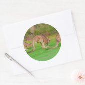 kanga ronde sticker (Envelop)