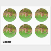 kanga ronde sticker (Vel)