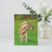 kanga stretch briefkaart (Staand voorkant)