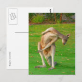 kanga stretch briefkaart (Voorkant / Achterkant)