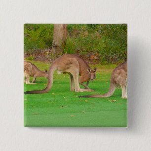 kanga vierkante button 5,1 cm