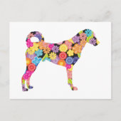 Kangal Dog Briefkaart (Voorkant)