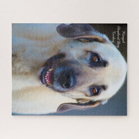 Kangal Dog. Jigzaag Puzzle Legpuzzel (Horizontaal)