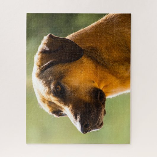 Kangal Dog. Legpuzzel (Verticaal)