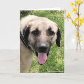 Kangal Dog-Wenskaart Kaart (Gele Bloem)