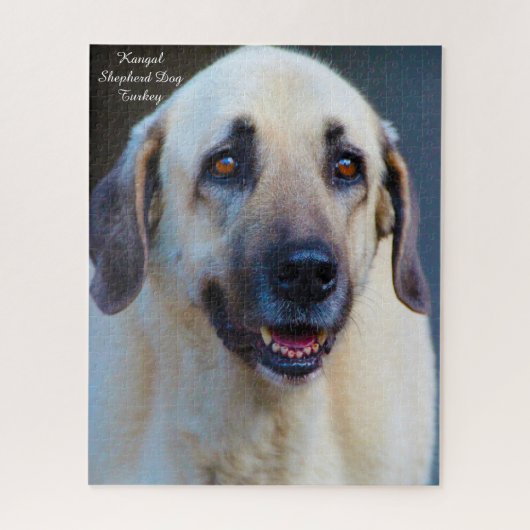 Kangal Hond. Legpuzzel (Verticaal)