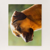 Kangal hond. legpuzzel (Verticaal)