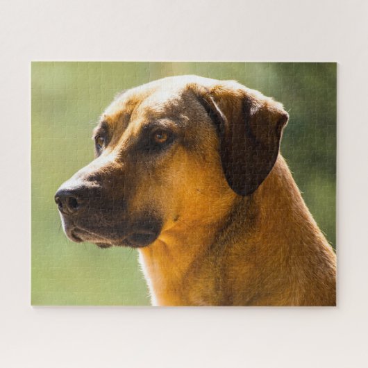Kangal hond. legpuzzel (Horizontaal)