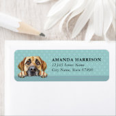 Kangal Hond Retour Adres Labels (Insitu)
