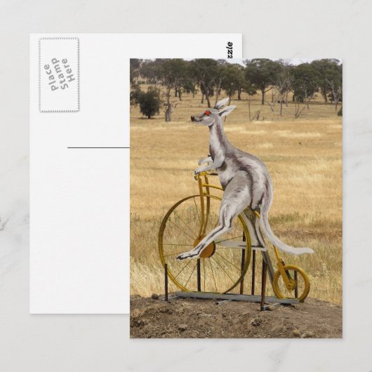Kangaro op wielen briefkaart (Voorkant / Achterkant)