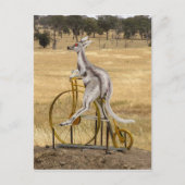 Kangaro op wielen briefkaart (Voorkant)