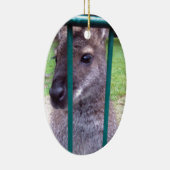 Kangaroo achter tralies keramisch ornament (Rechts)