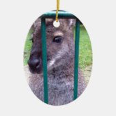 Kangaroo achter tralies keramisch ornament (Voorkant)