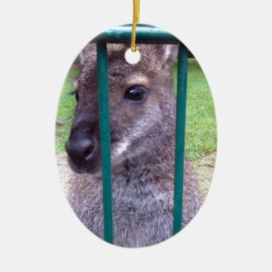 Kangaroo achter tralies keramisch ornament (Voorkant)