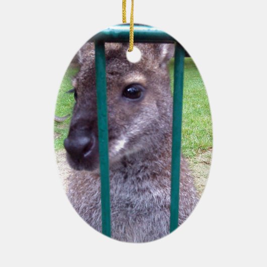Kangaroo achter tralies keramisch ornament (Achterkant)